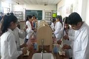 Pt Sita Ram Shastri Girls Senior Secondary School - Chemistry Lab
